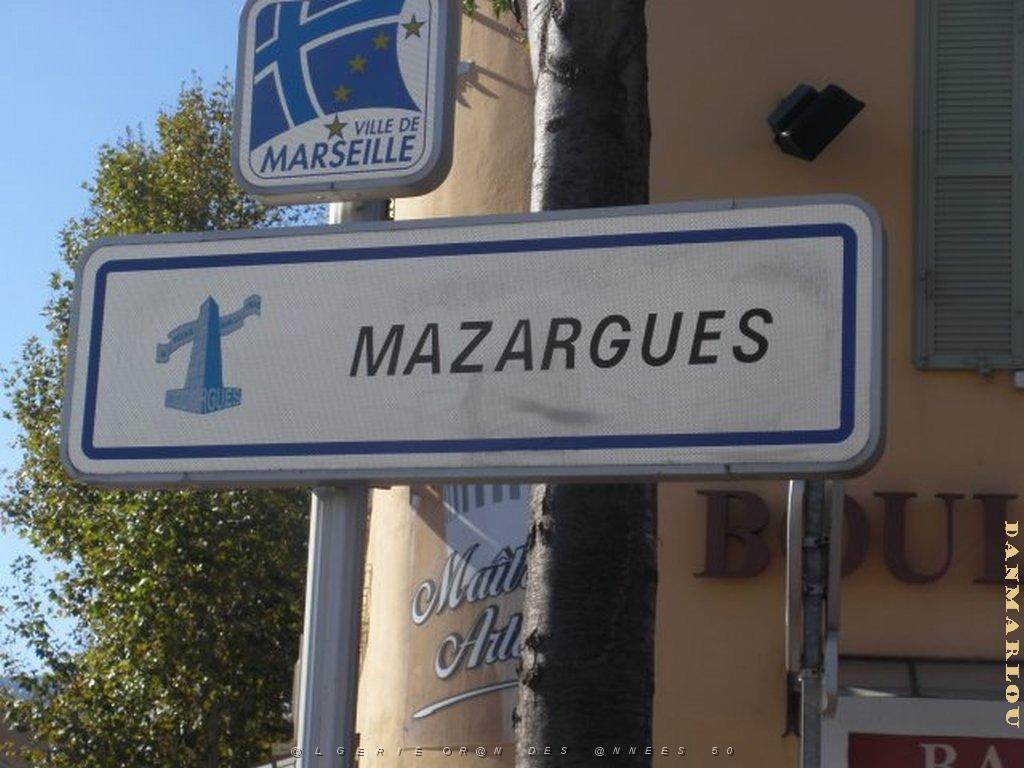 2012 11 01 NOVEMBRE MAZARGUES  (42) PAR GUY MONTANER.jpg